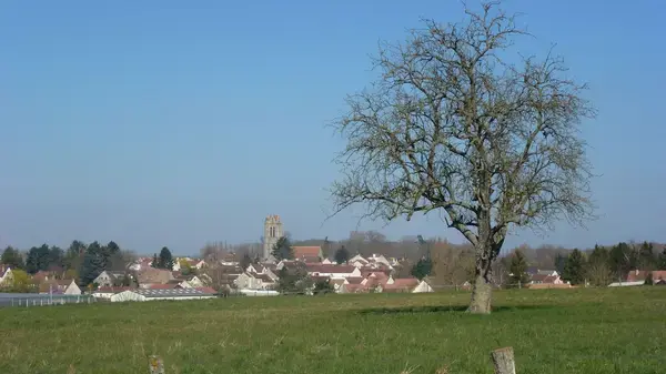 SPA'NAME Location spa à domicile Presles-en-Brie